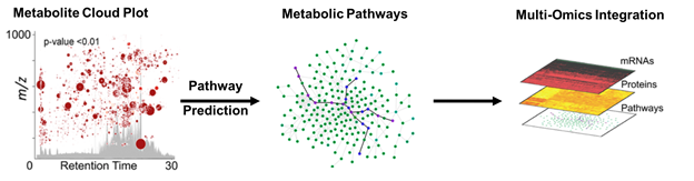 example bioinformatic analysis workflow