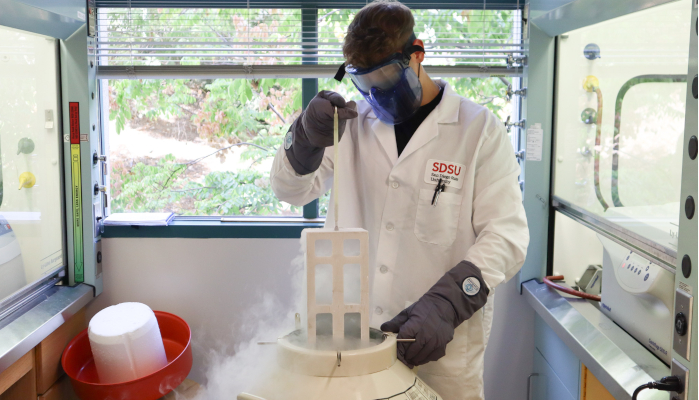 Second year chemistry-biochemistry doctoral student Luis Ernst pulls up racks of frozen T. cruzi parasite samples from an ultracold liquid nitrogen tank