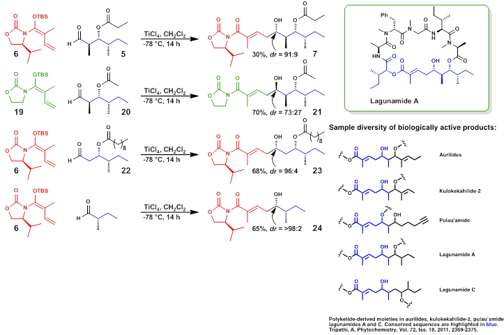 polyketide syntheses image