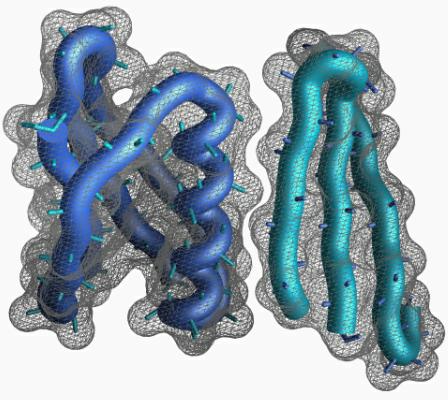 protein design illustration